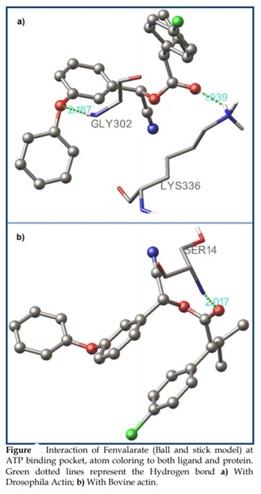 Molecular component12.jpg